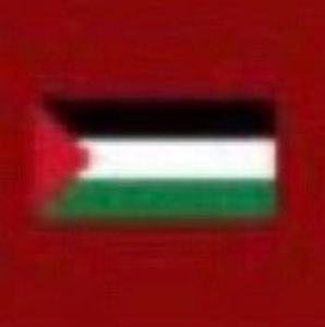 Meet your Posher, Ali